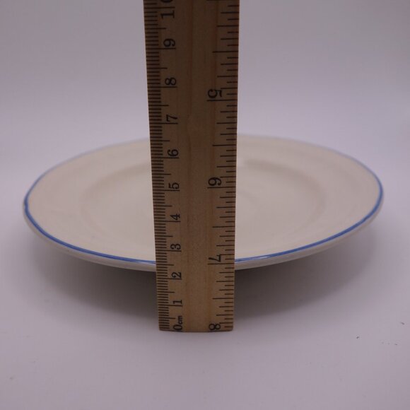 Set of Four(4) 8 Inch Plates and Set of Eleven(11) 6.5 Inch Plates with Blue Rim - Picture 11 of 12